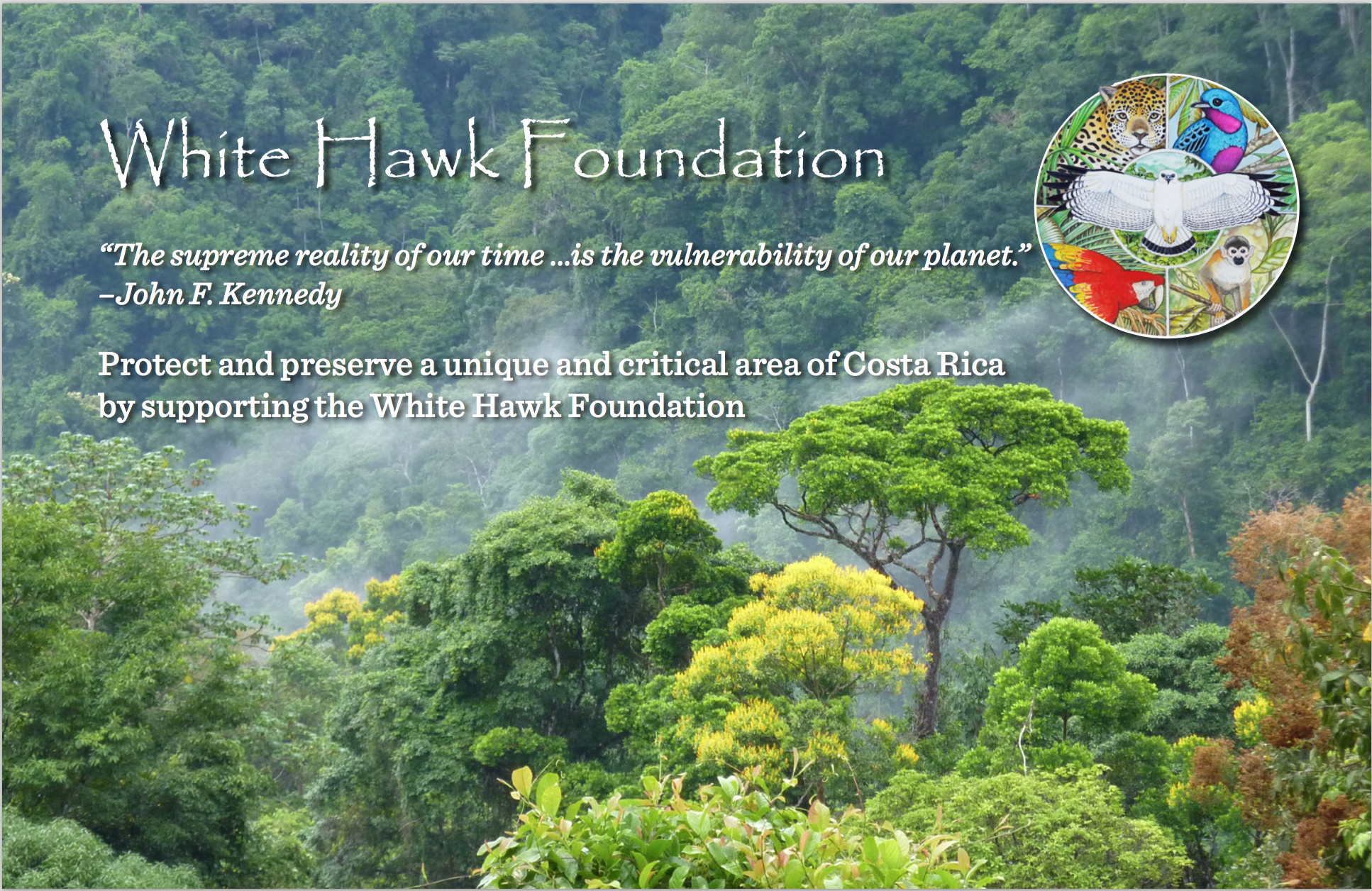 Passion and Purpose - Reflections from the Rain Forest