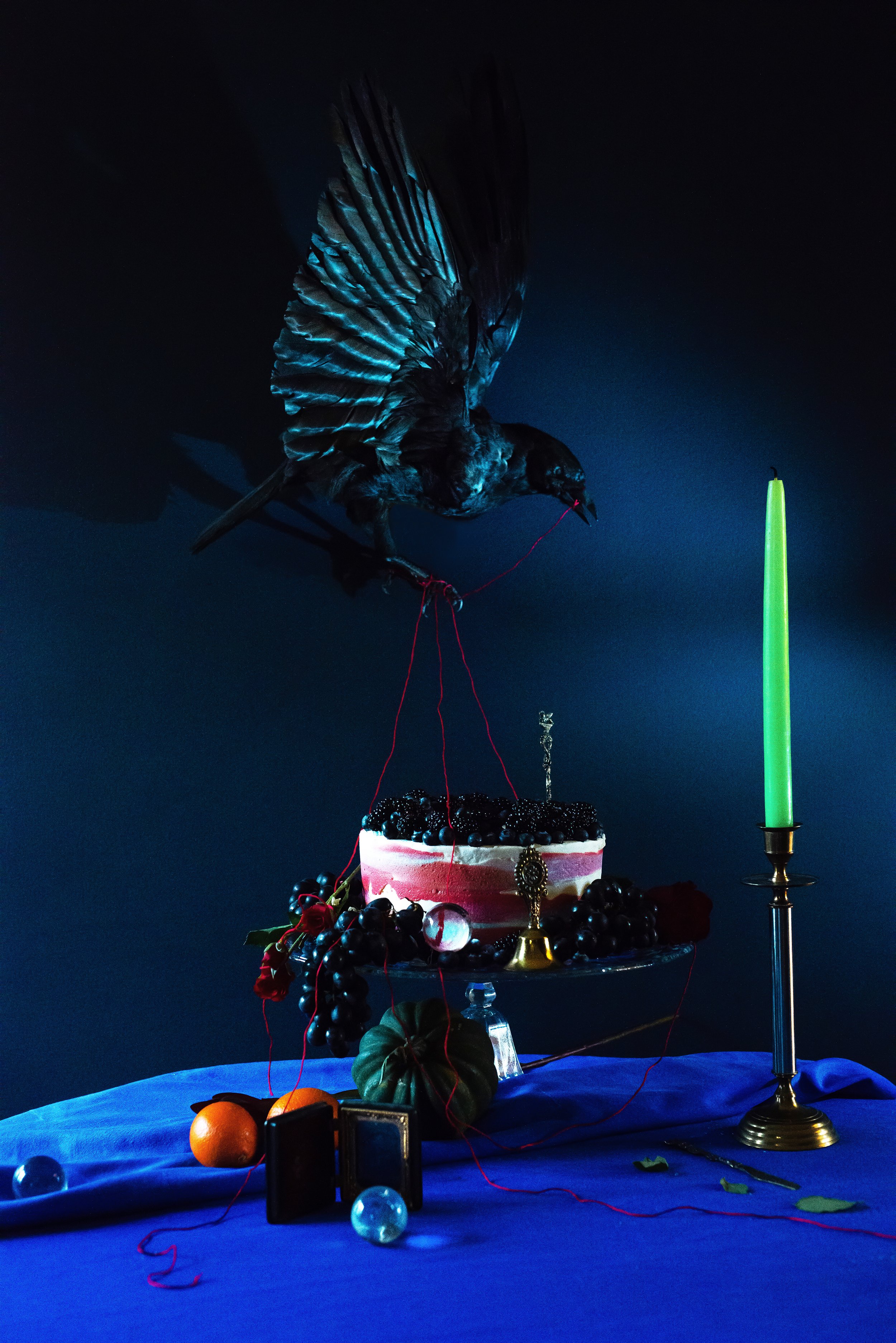 “Harbinger”, made with artist Caroline Simpson
