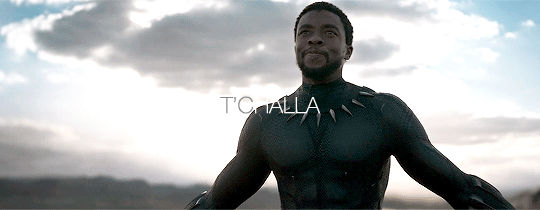 Black Panther.gif
