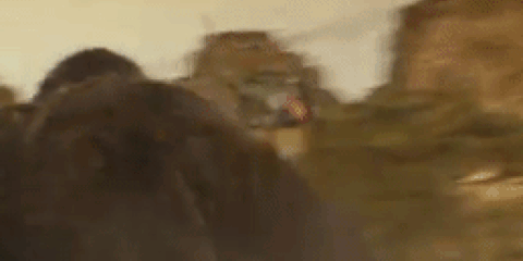 Kong Skull Island.gif