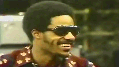Stevie Wonder 2.gif