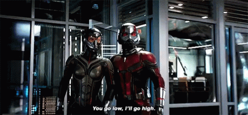 Ant-Man and the Wasp.gif