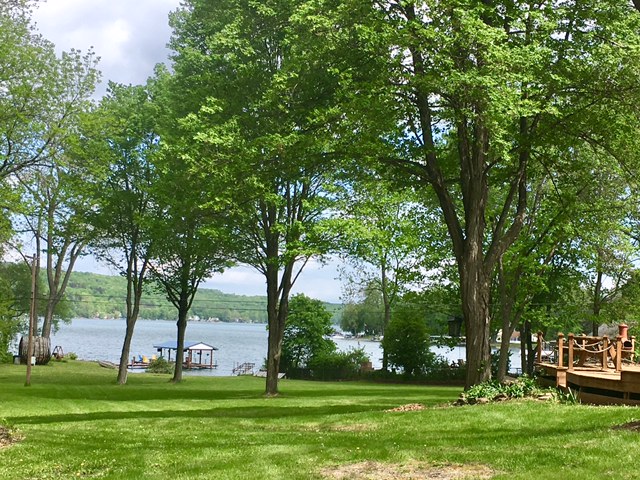Lawn :Lake View.jpg