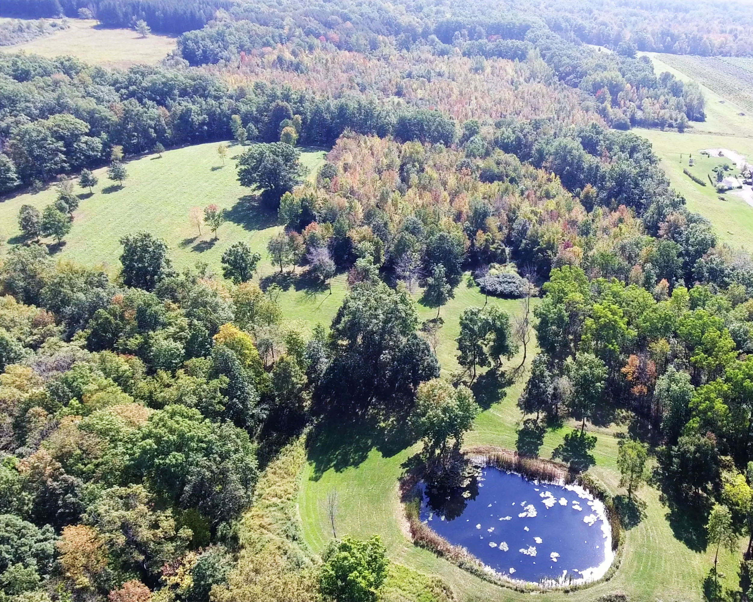 Pond Ariel 1.jpg