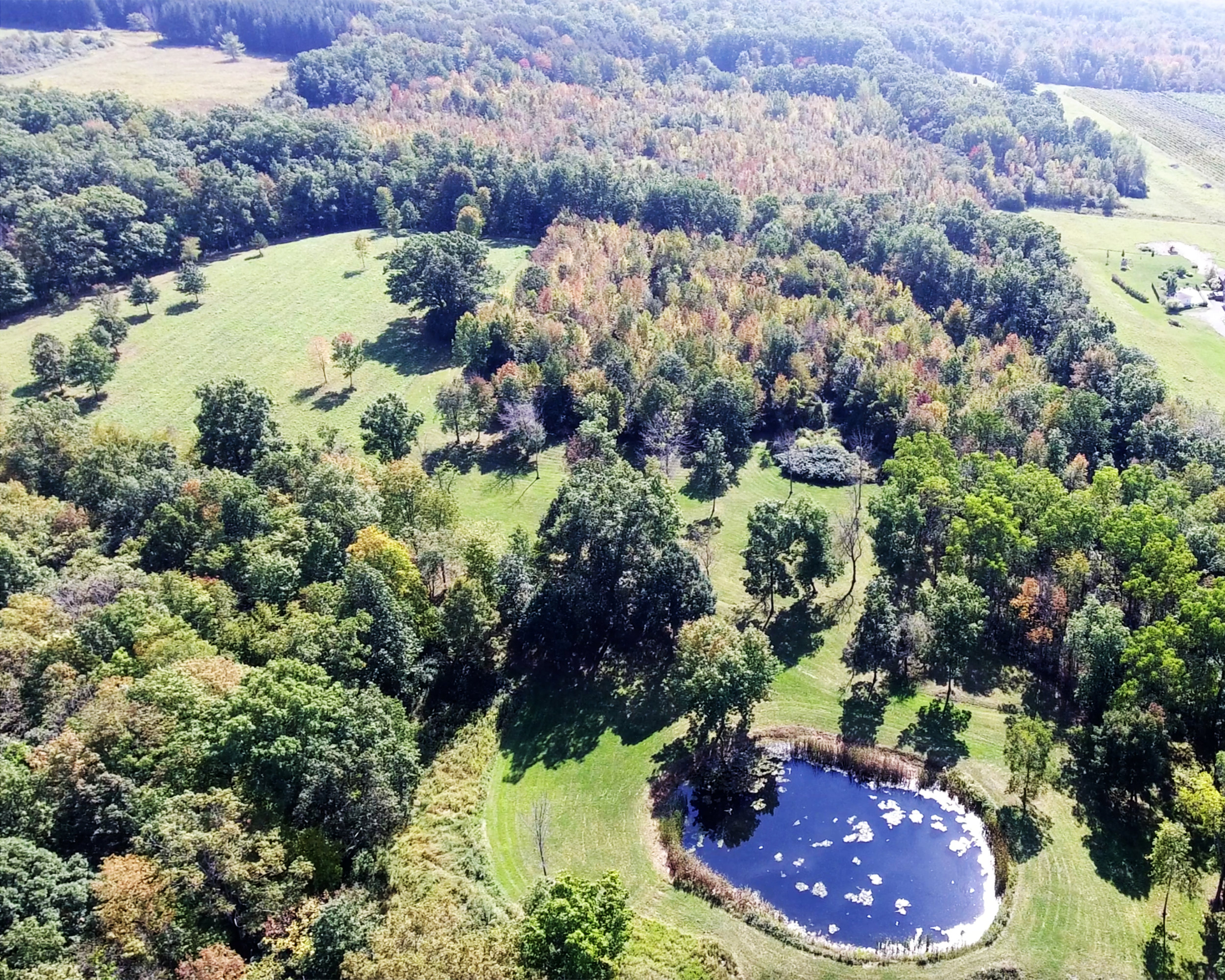 Pond Ariel 1.jpg
