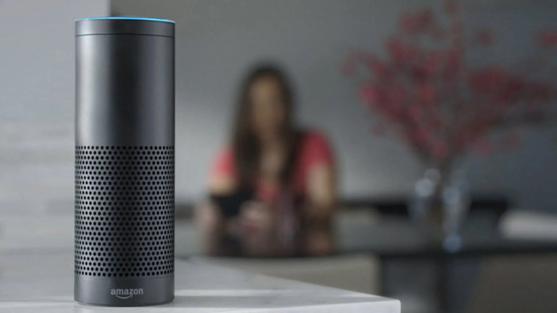 The Amazon Echo