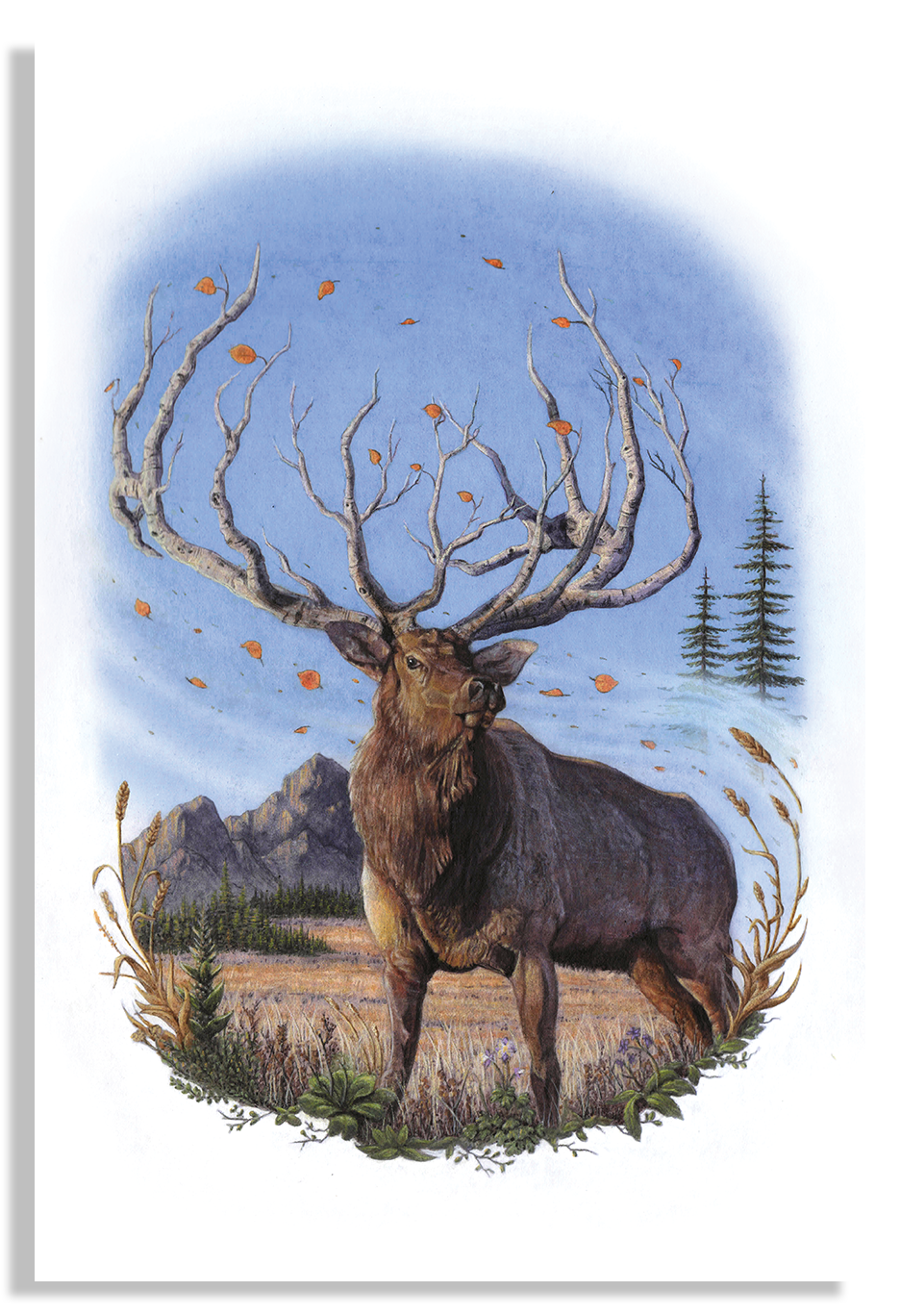 AspenElkPrintProductMockup copy.png
