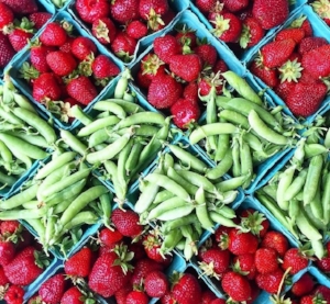  Photo courtesy of The Food Trust on Instagram