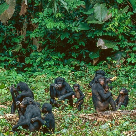 motherhood 💚 📷: @natgeo