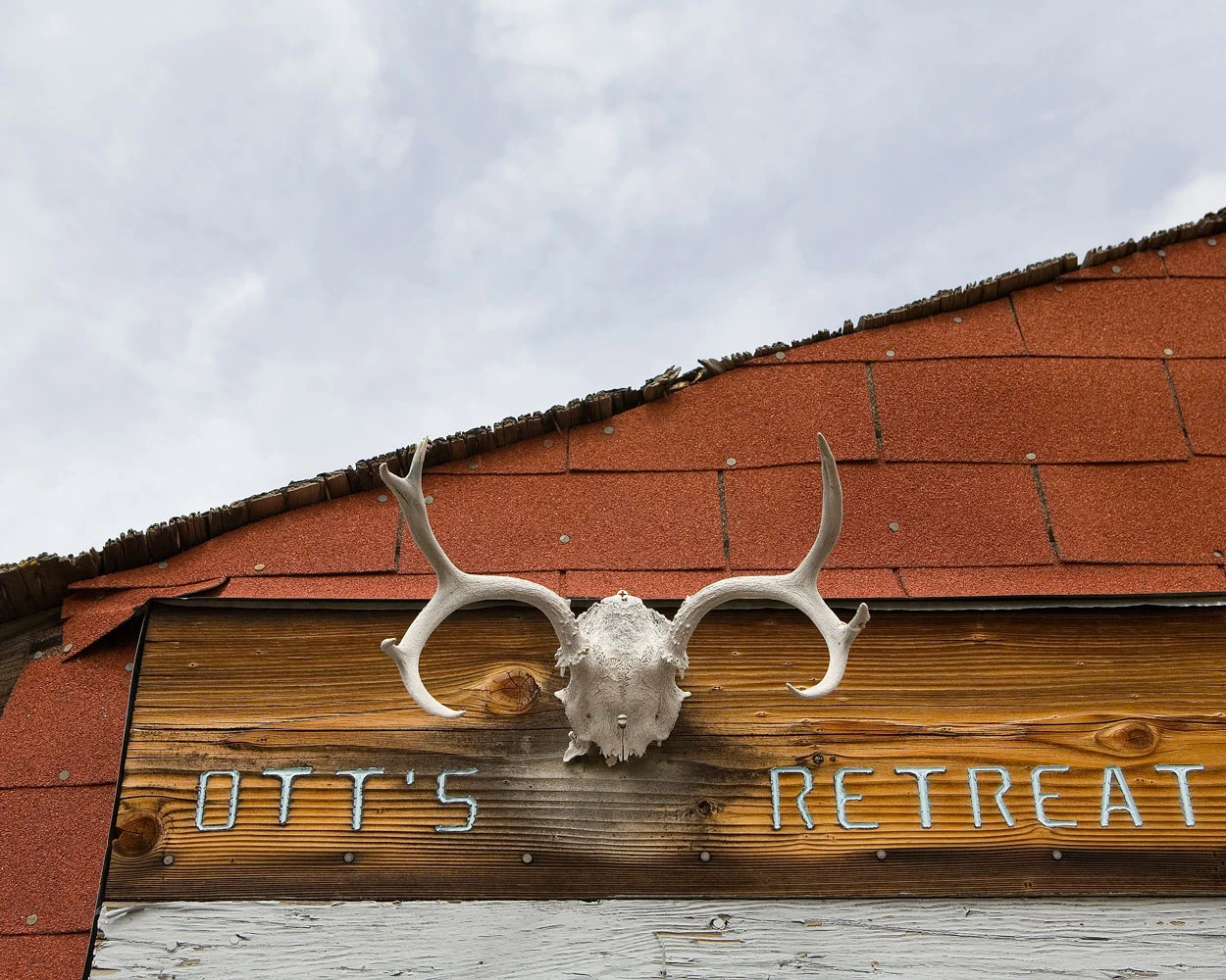 Title: 5054A-19617 (antlers), Archival pigment print, 20x16", 2007