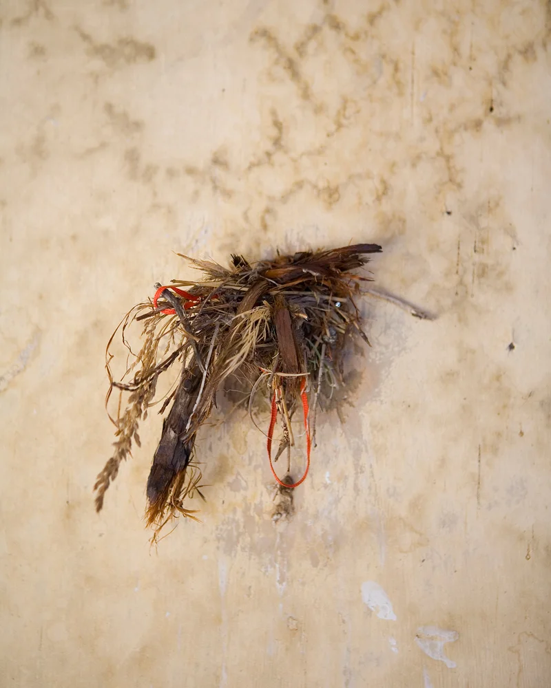 Title: 4503A-19617 (bird's next), Archival pigment print, 20x16", 2008