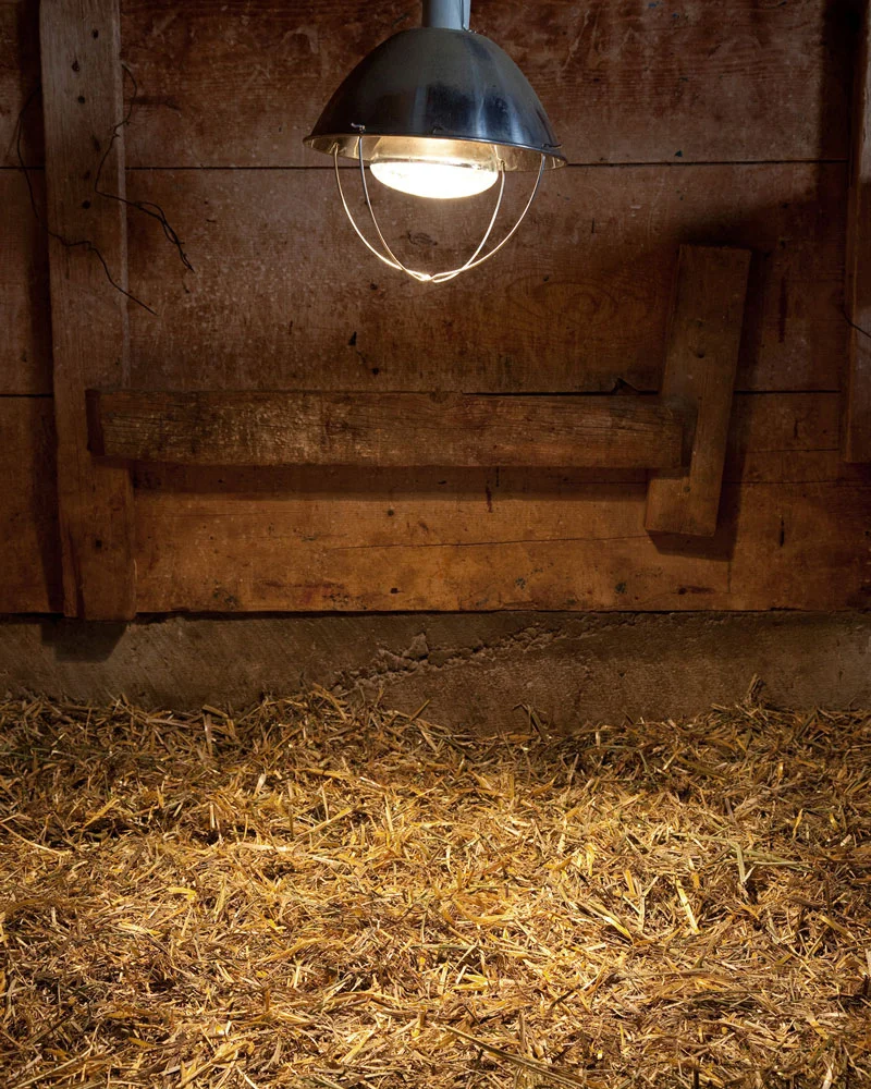 Title: 196G-19617 (warming light), Archival pigment print, 16x20", 2011
