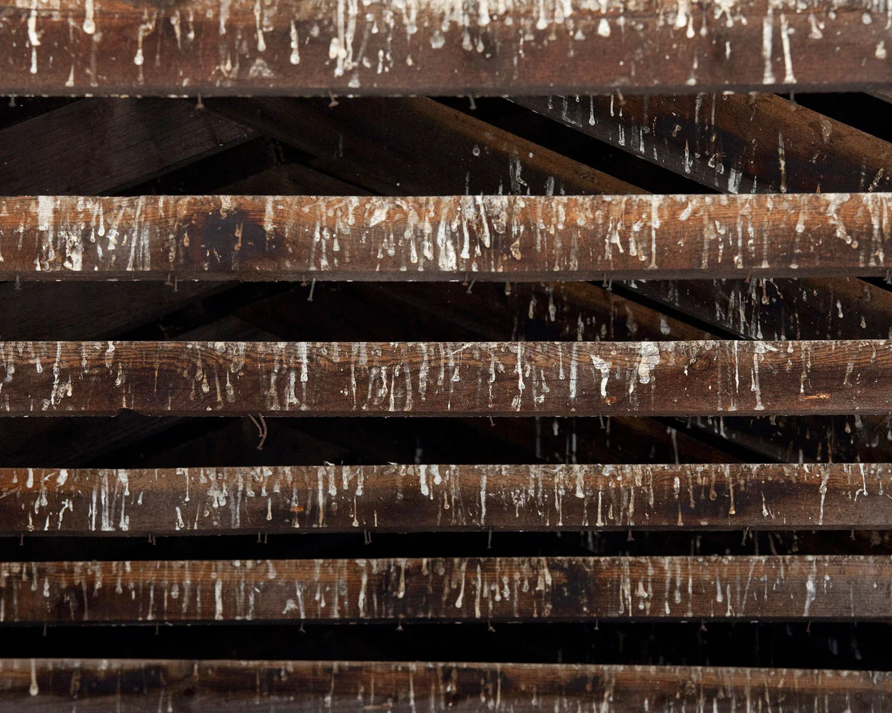 Title: 5099A-19617 (rafters), Archival pigment print, 20x16", 2010