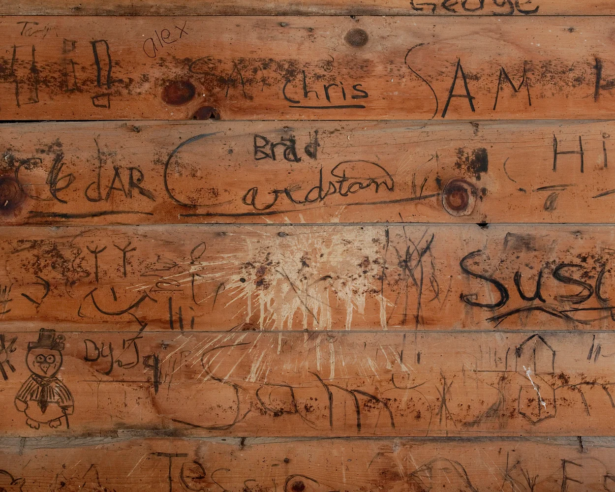 Title: 43C-19617 (writing), Archival pigment print, 20x16", 2011