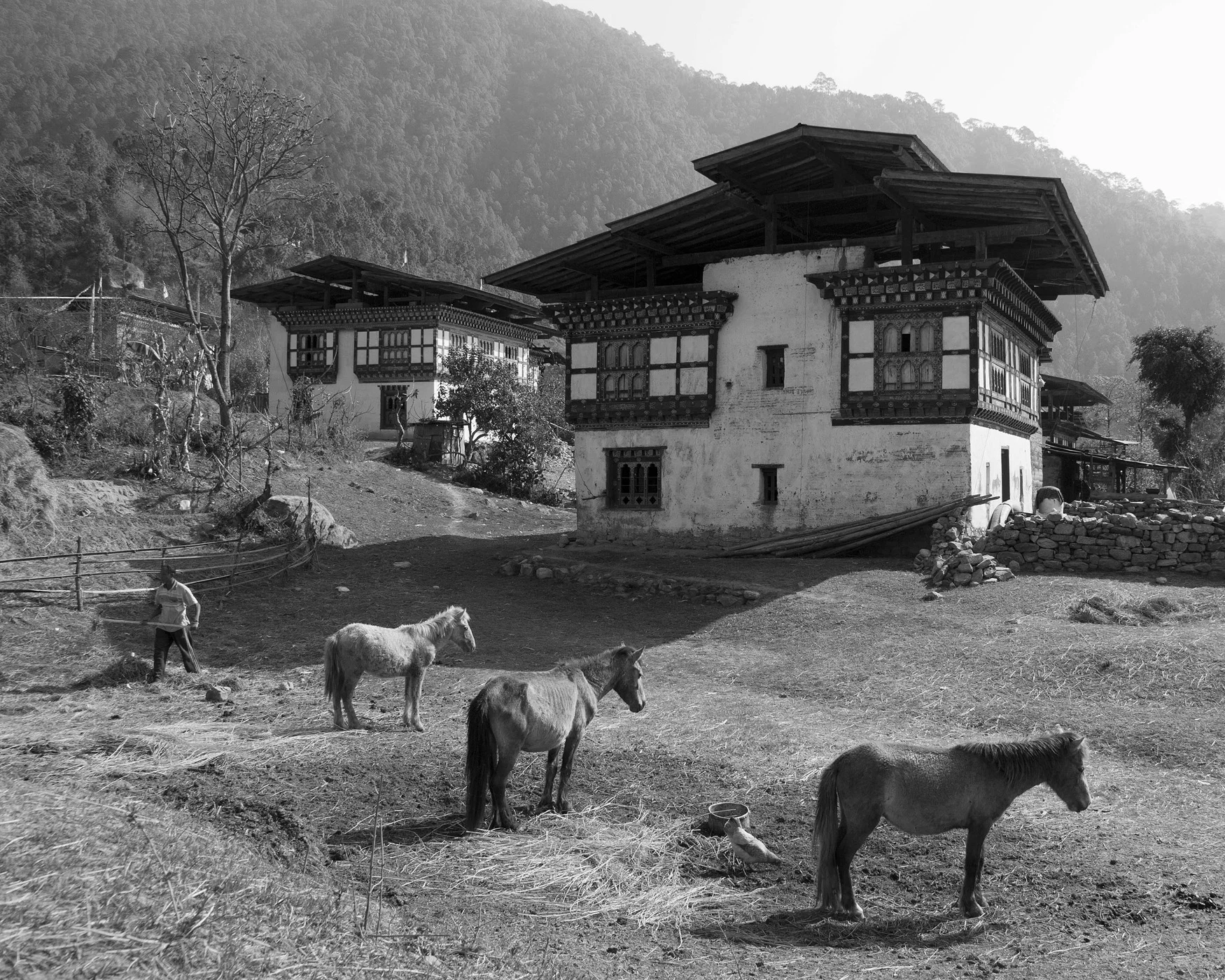 Bhutan_11.jpg