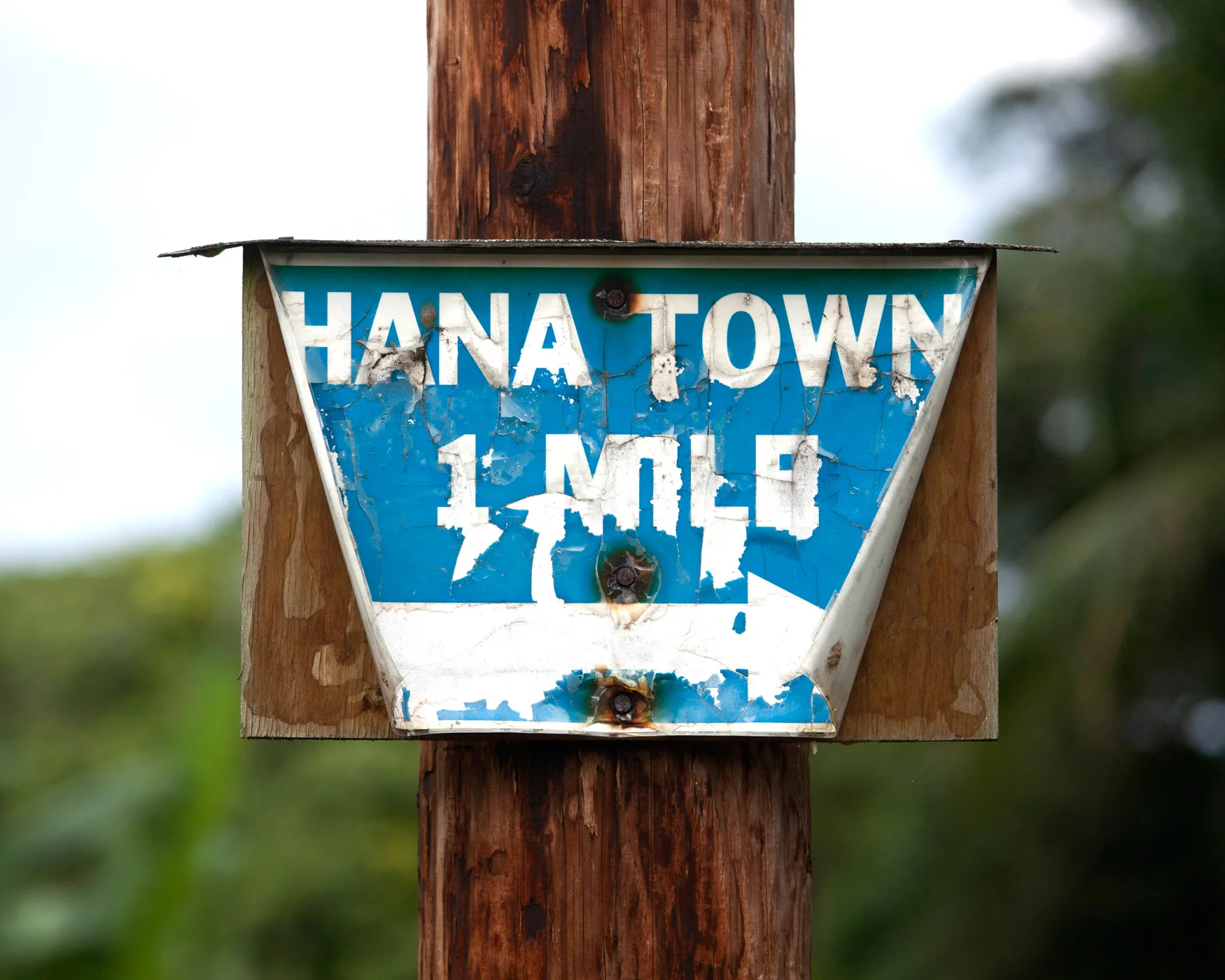 Hana_13.jpg