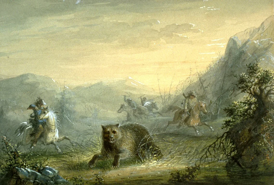 The Grizzly Bear