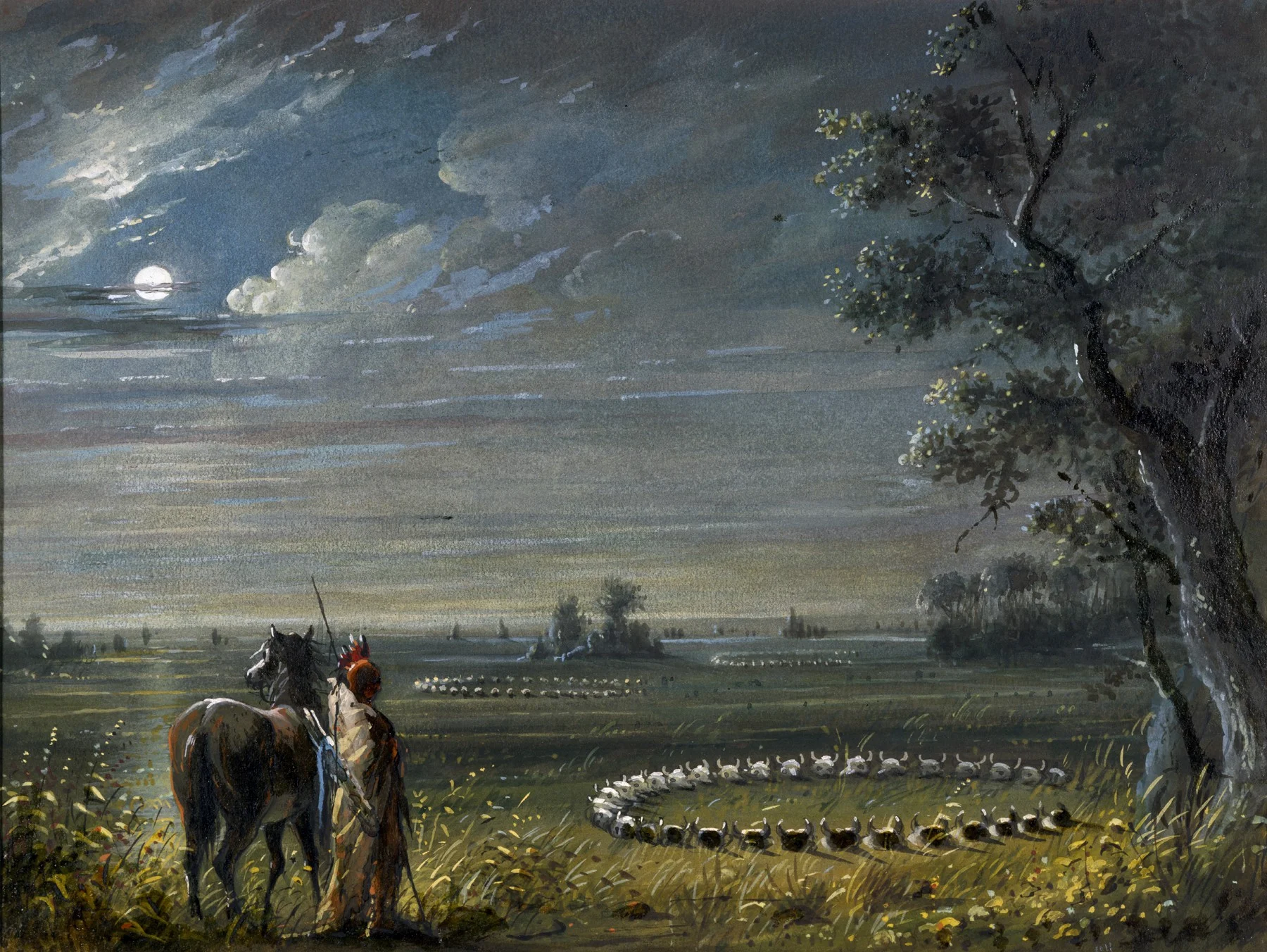 Medicine Circles