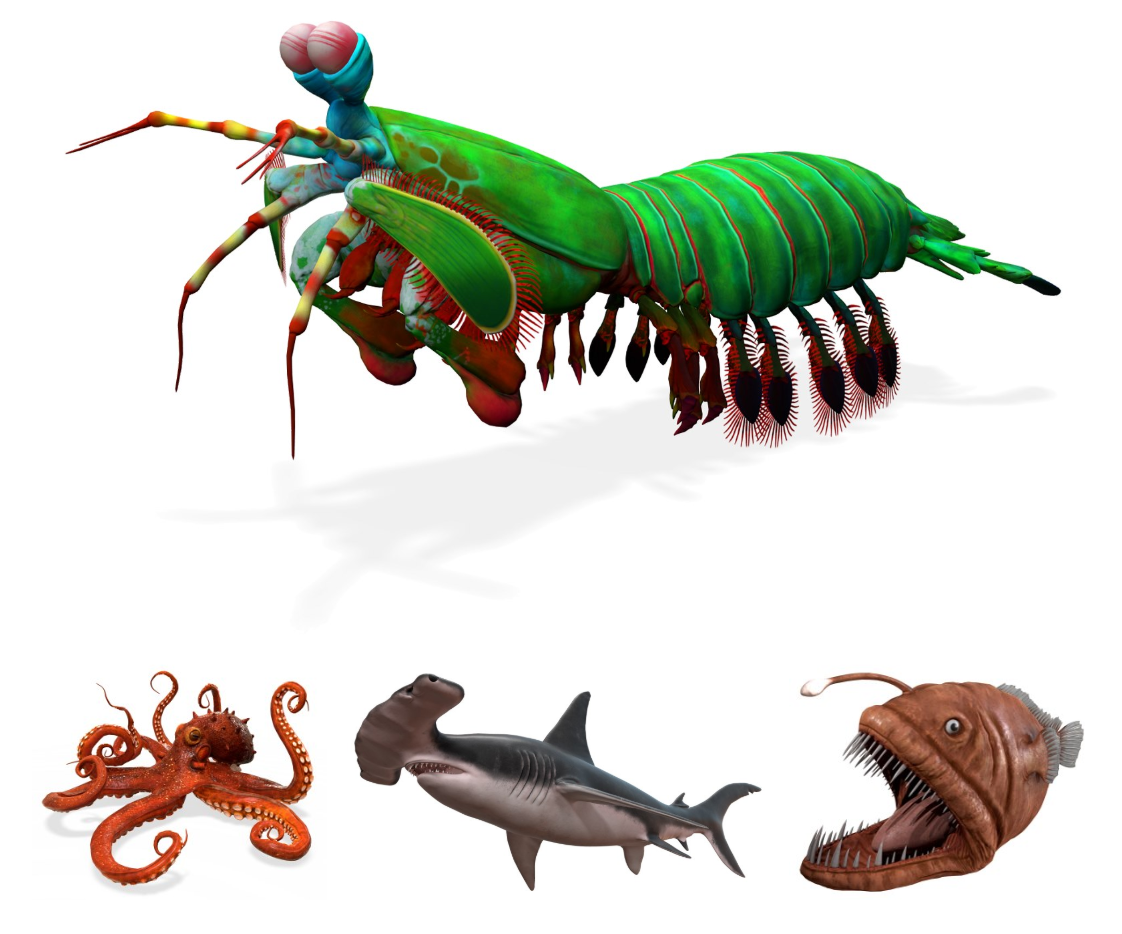 ocean.png