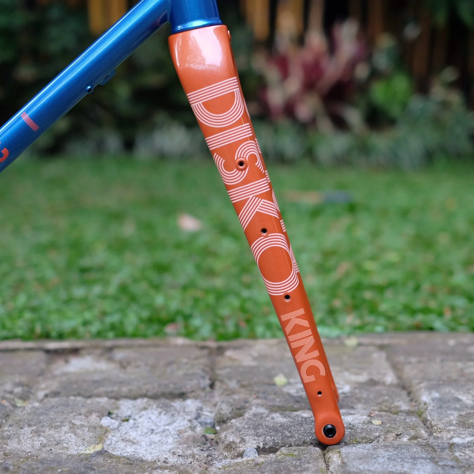 Veloci Cycle