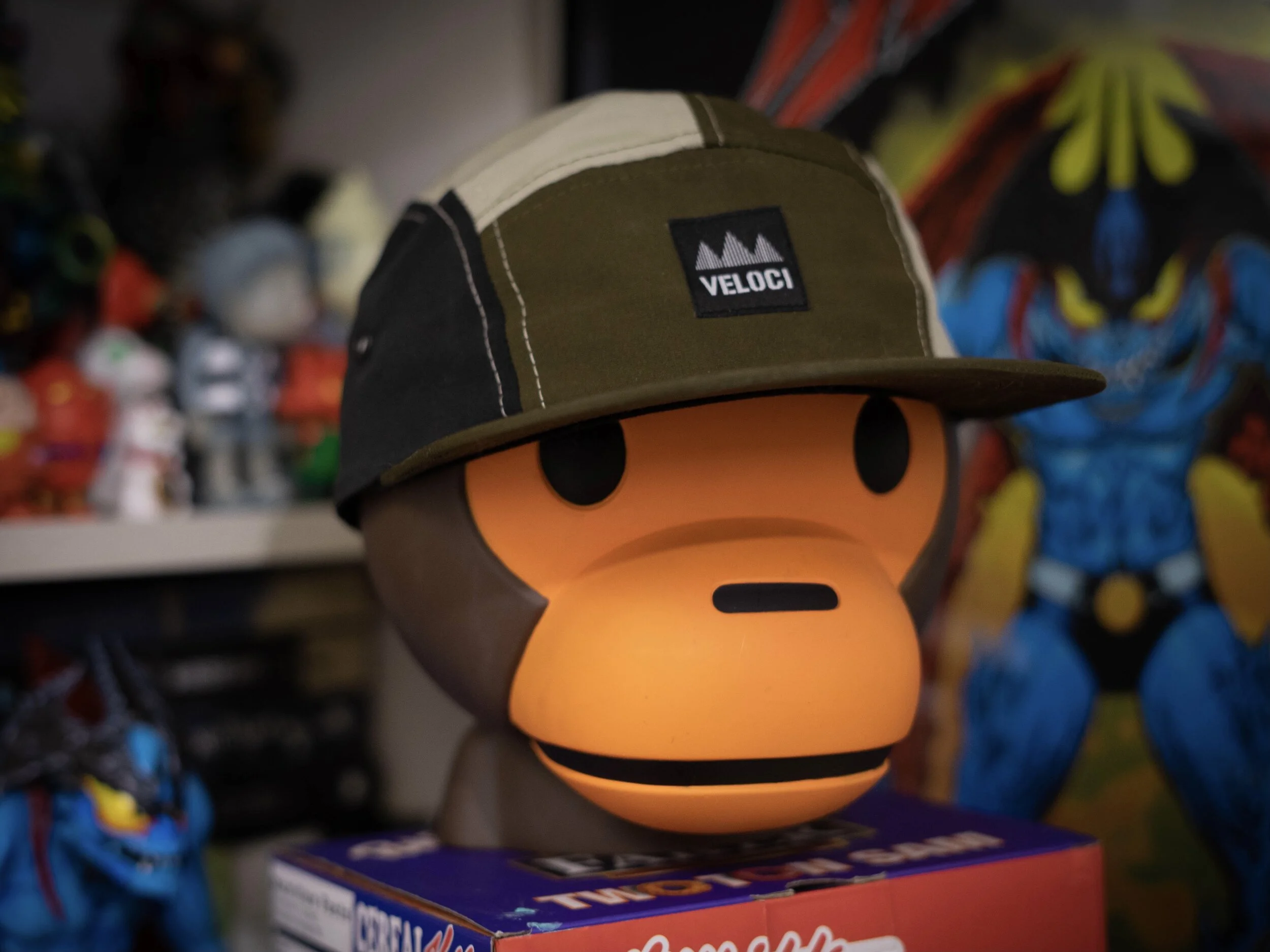 veloci adventure 5 panel hat.JPG