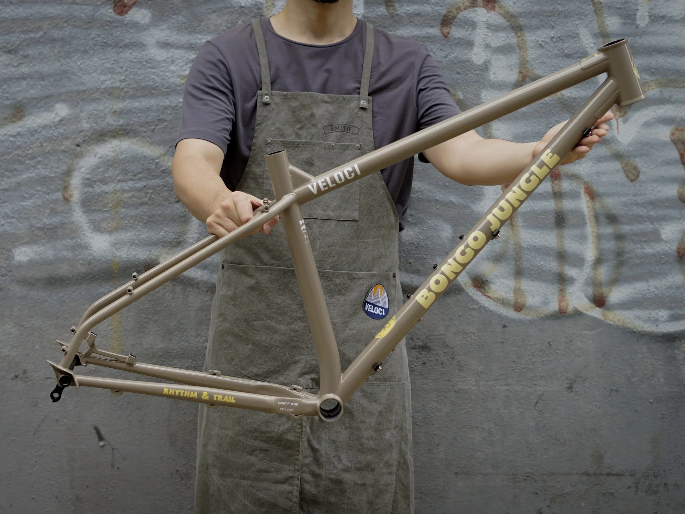 veloci bongo jungle mtb hardtail  steel frame 1.jpg