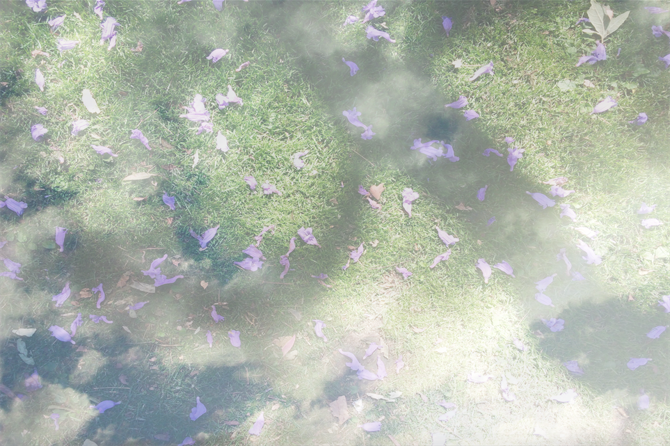 Untitled (Graphic Experiments with light, color and space)