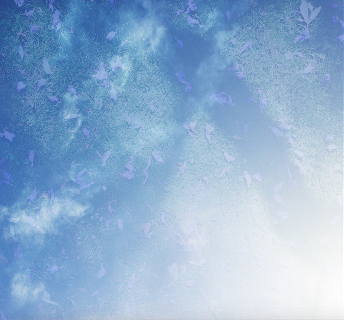 Screen Shot 2016-05-05 at 8.11.16 PM.png