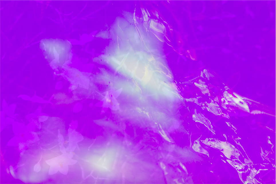 Screen Shot 2016-05-05 at 8.12.31 PM.png