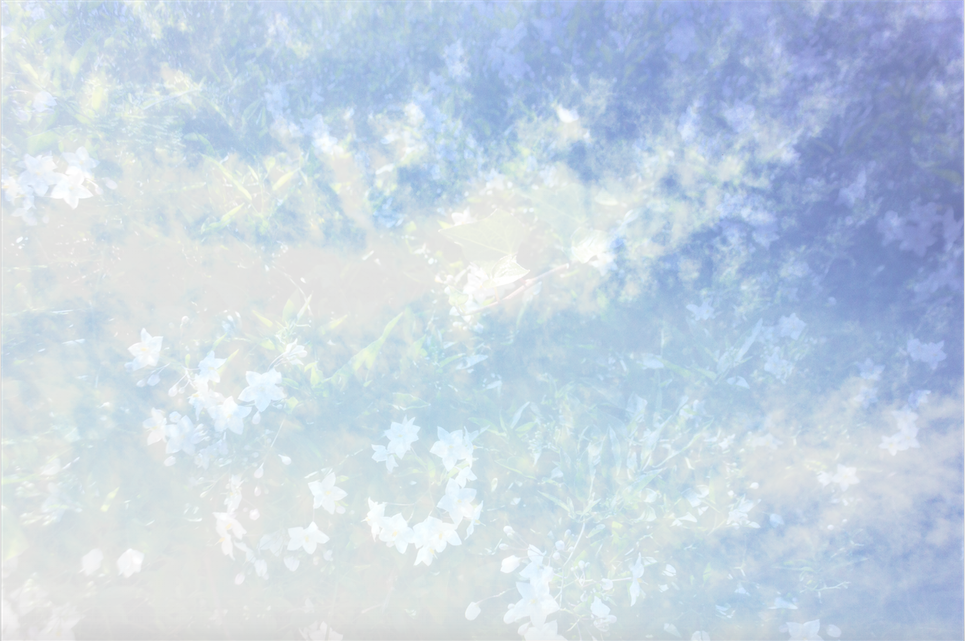 Screen Shot 2016-05-05 at 8.16.18 PM.png