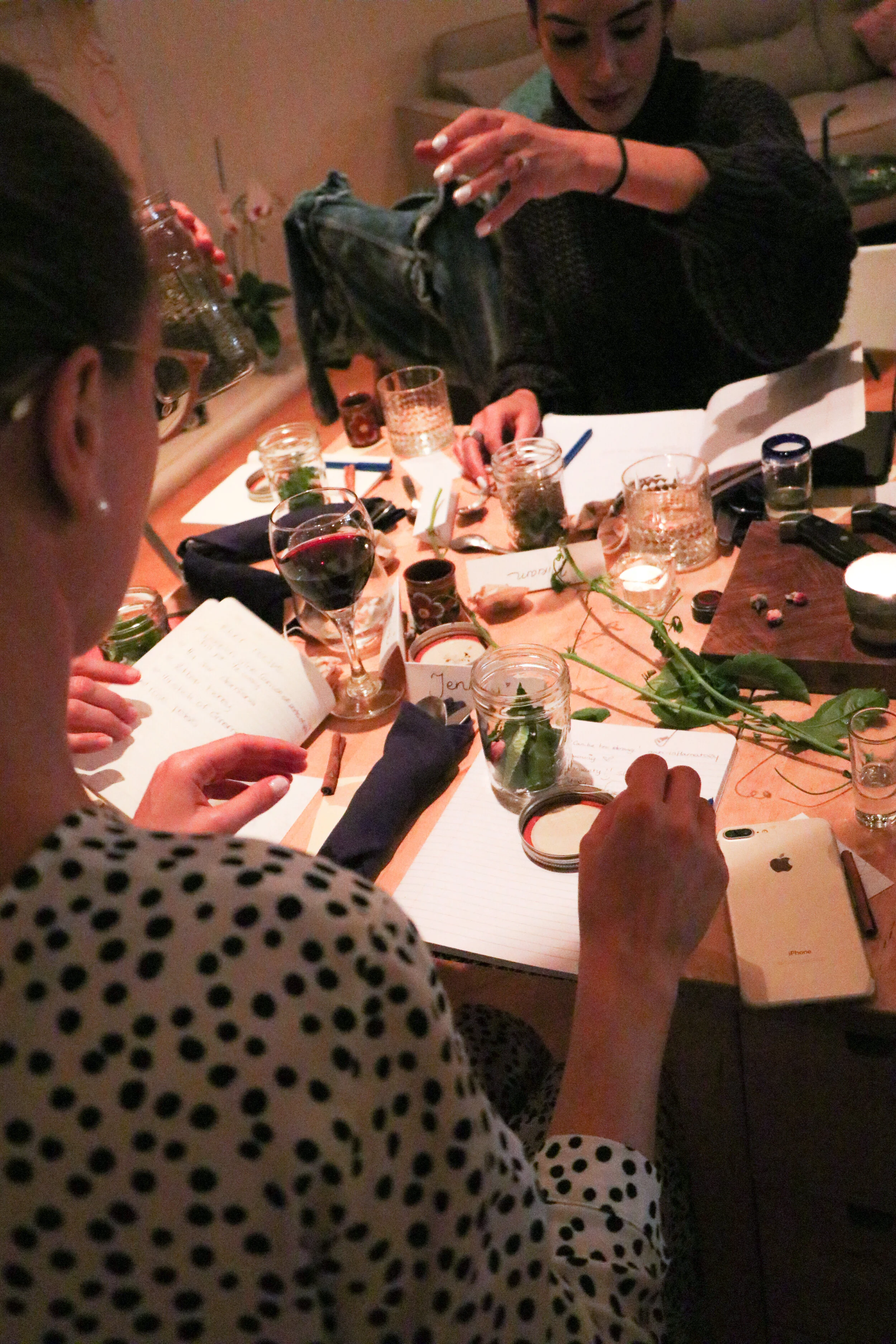 The Dinner Feb 27-012.jpg
