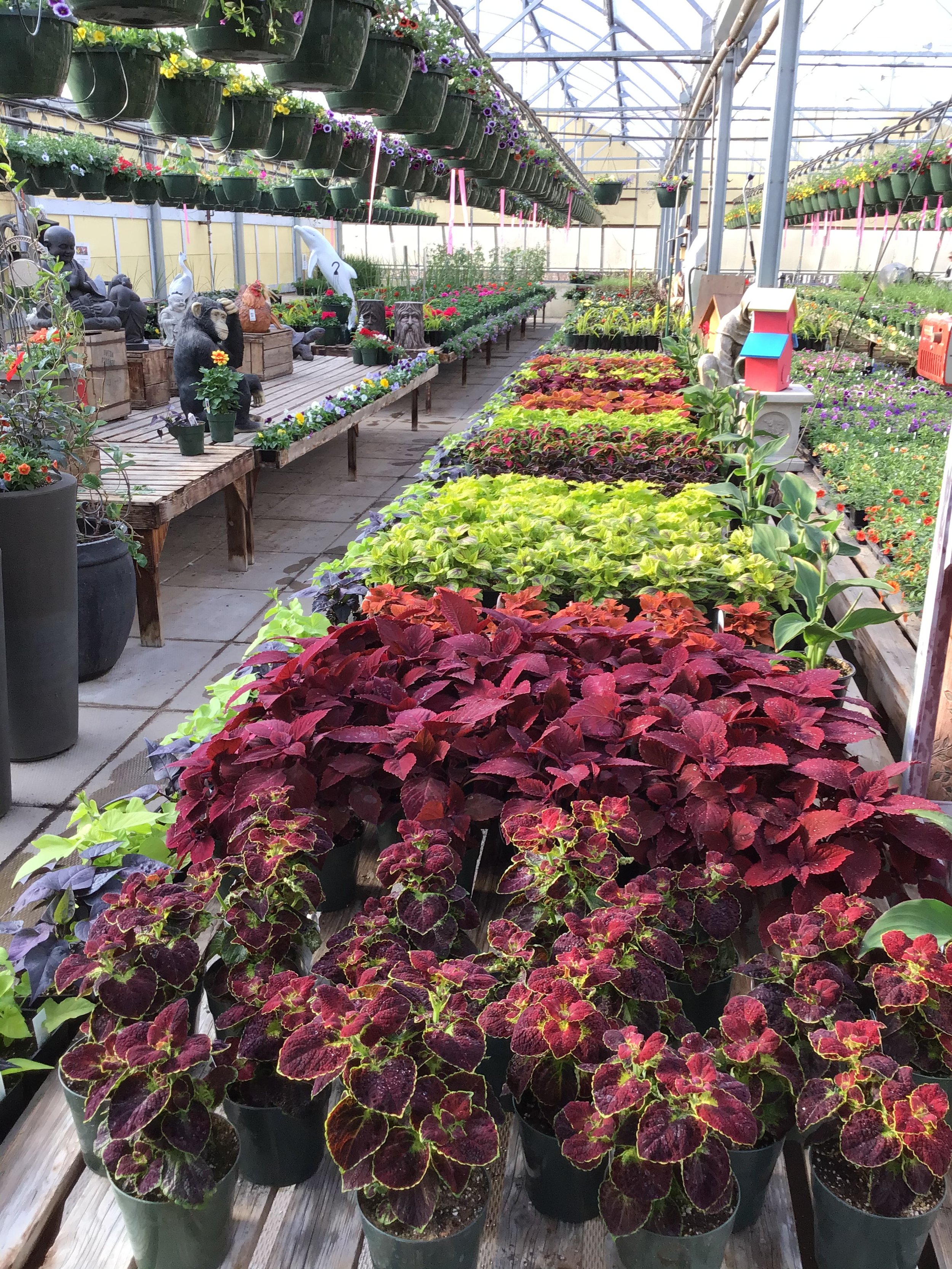 Hastings Lake Gardens