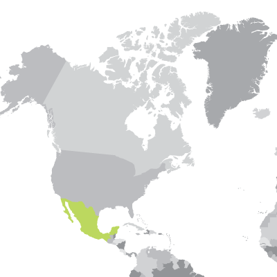 Mexico.jpg