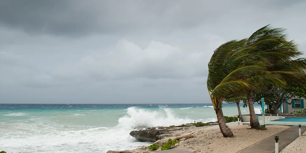 IMAGE - STORY - Puerto Rico One Year Later (1000x500).jpg