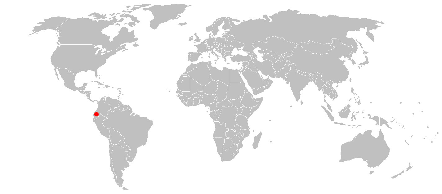 CLICK HERE TO ENLARGE