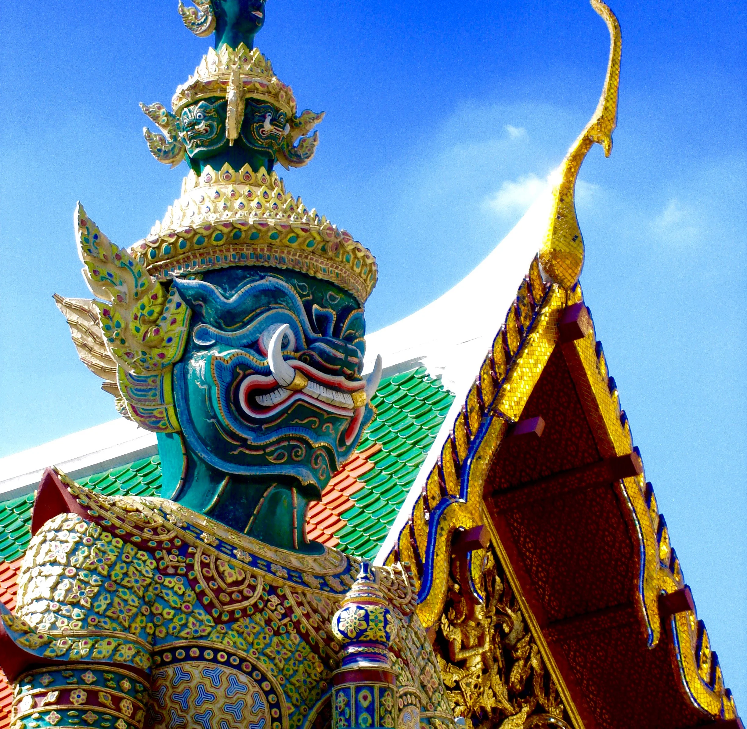 DSC01419 (1).jpg