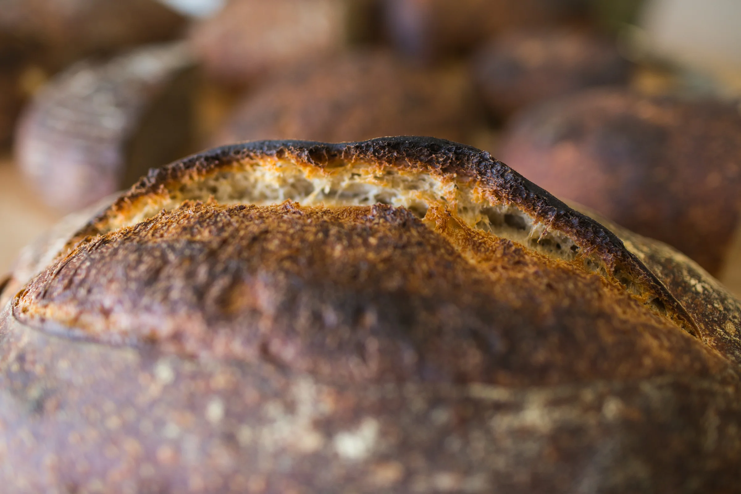 Prager Brothers Artisan Breads