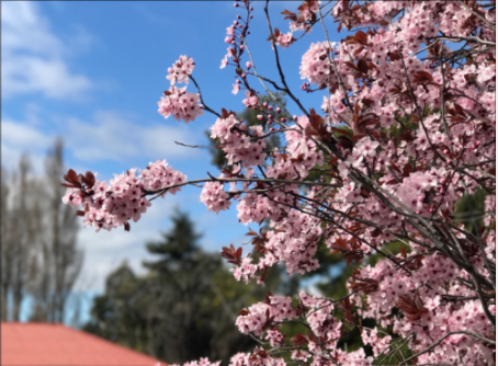 Seasonal Adjustment! 3 quick tips to Spring Clean your Social.