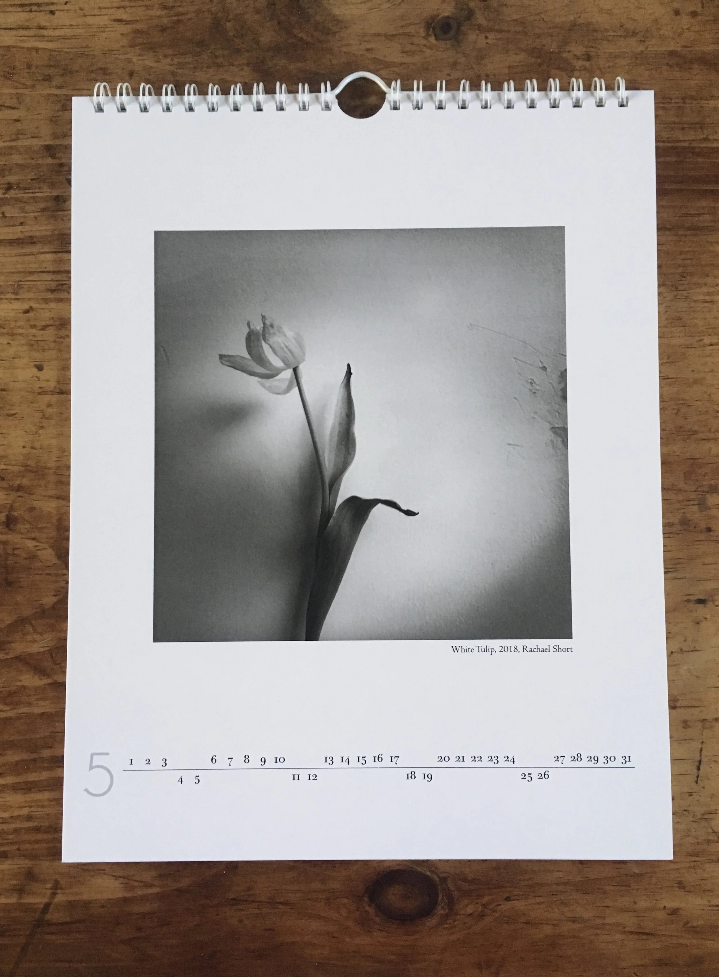 Short-CalendarInterior1.jpeg