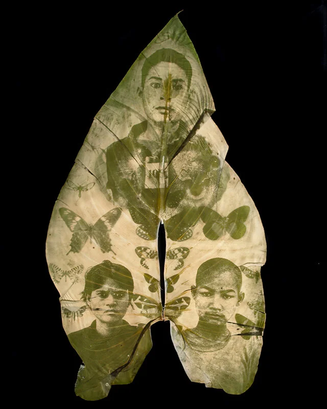© Binh Danh