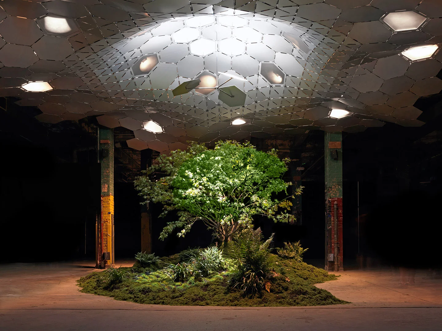 LowLine_50613_re_crop2.jpg