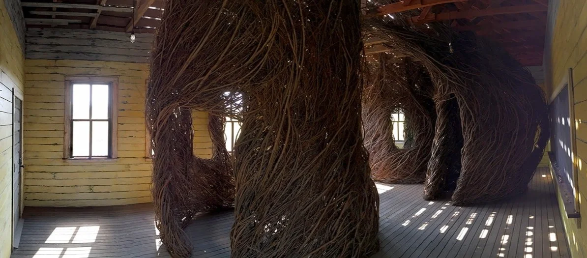 Picture7.jpg