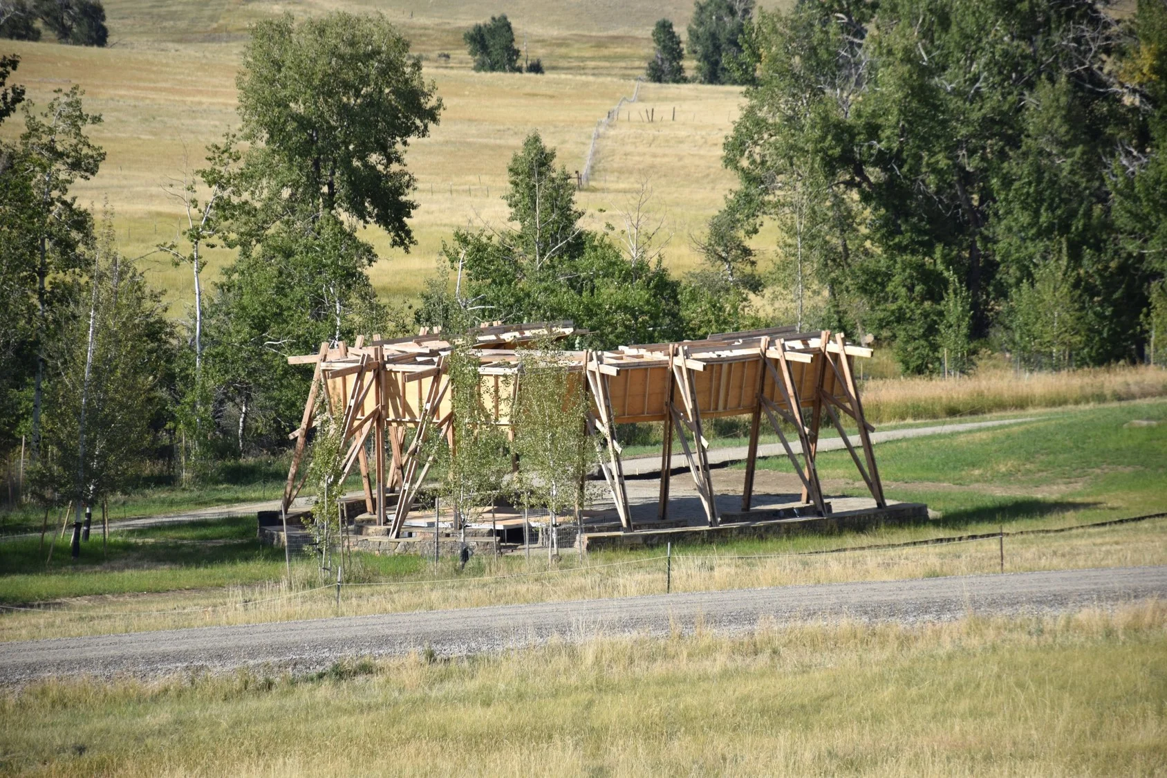 Picture57.jpg