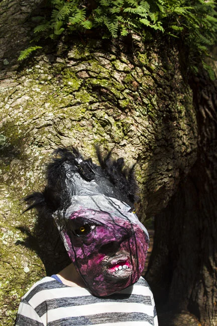 Angel Oak 2013 archival inkjet print 18 x 12 inches