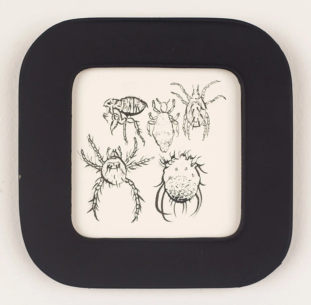 Itching Bugs 2010 Sumi color, India ink on paper with found frame 5 x 5 inches