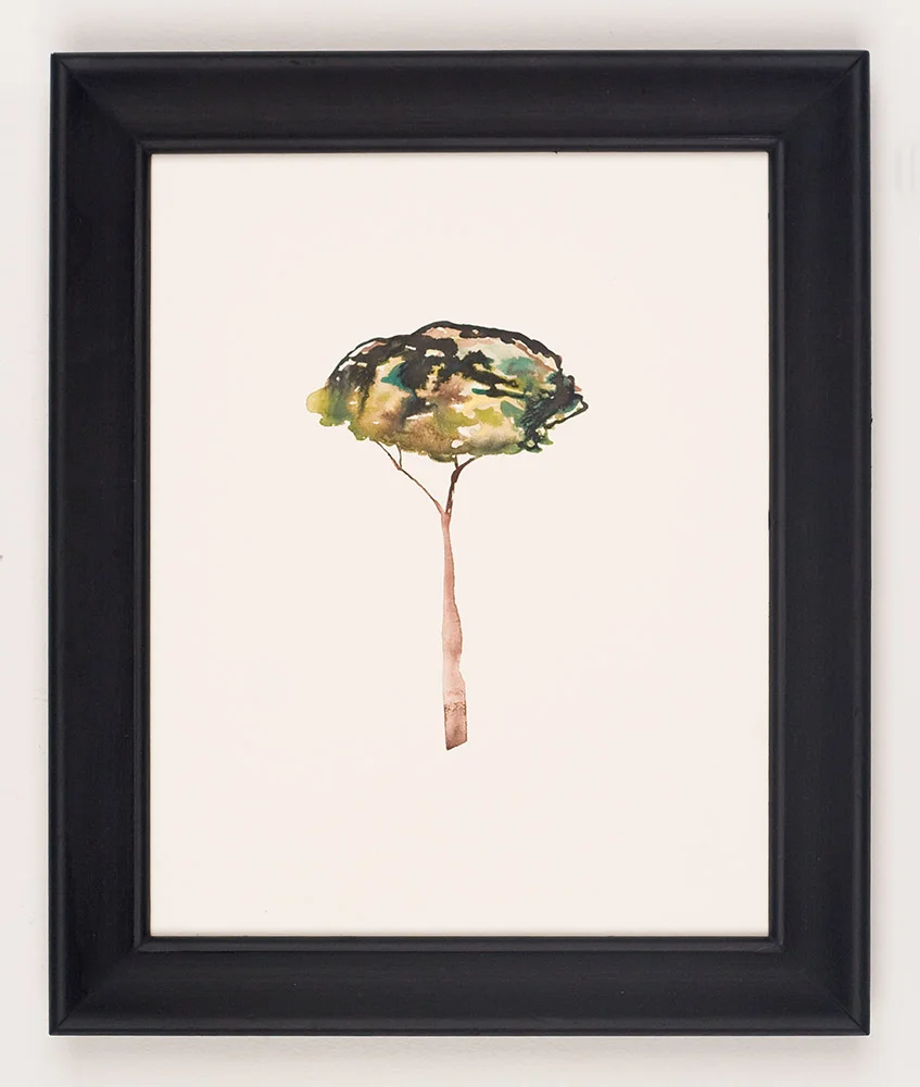 Turner's Tree.jpg