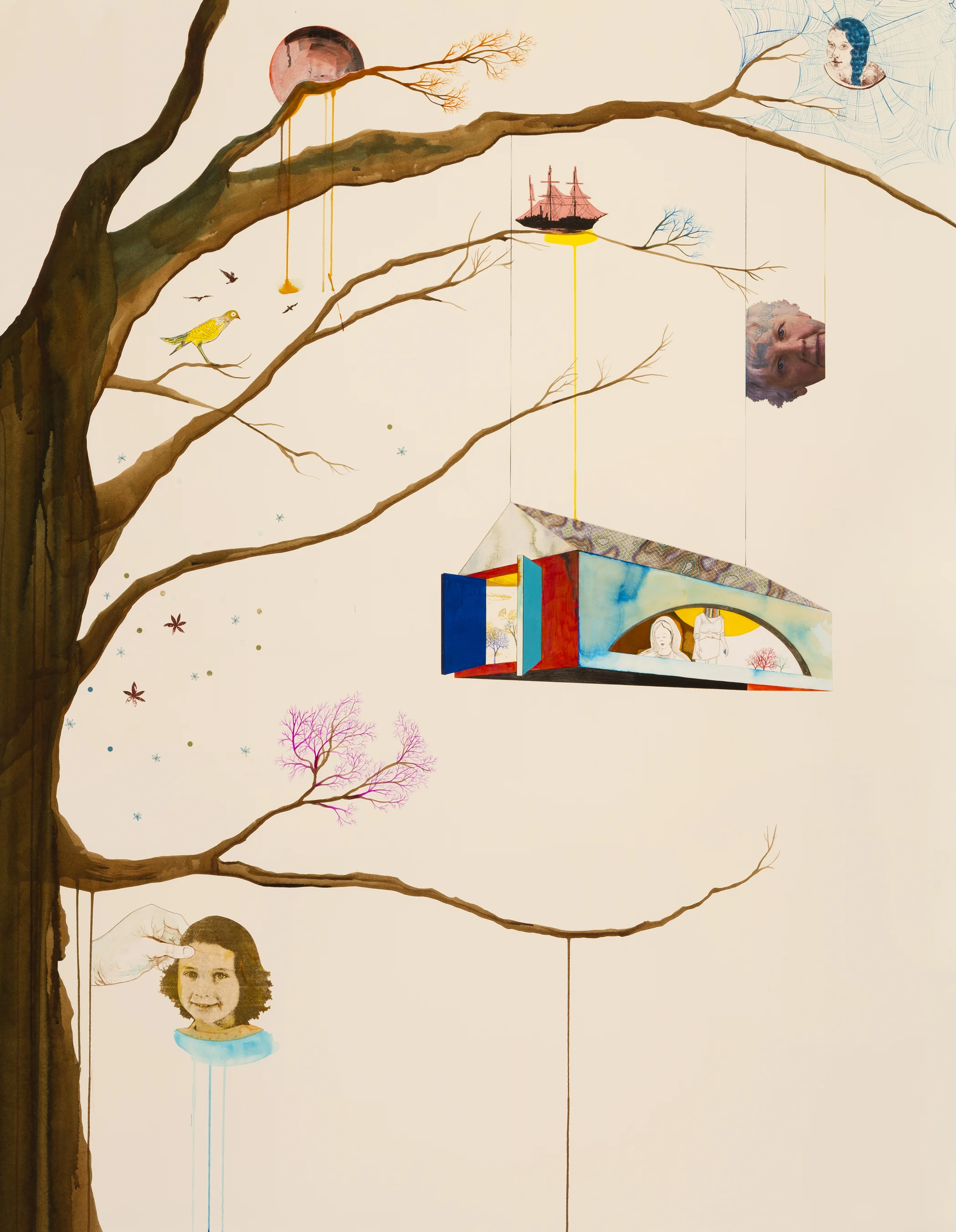 Cowie_Family Tree no.1_CCo237.jpg