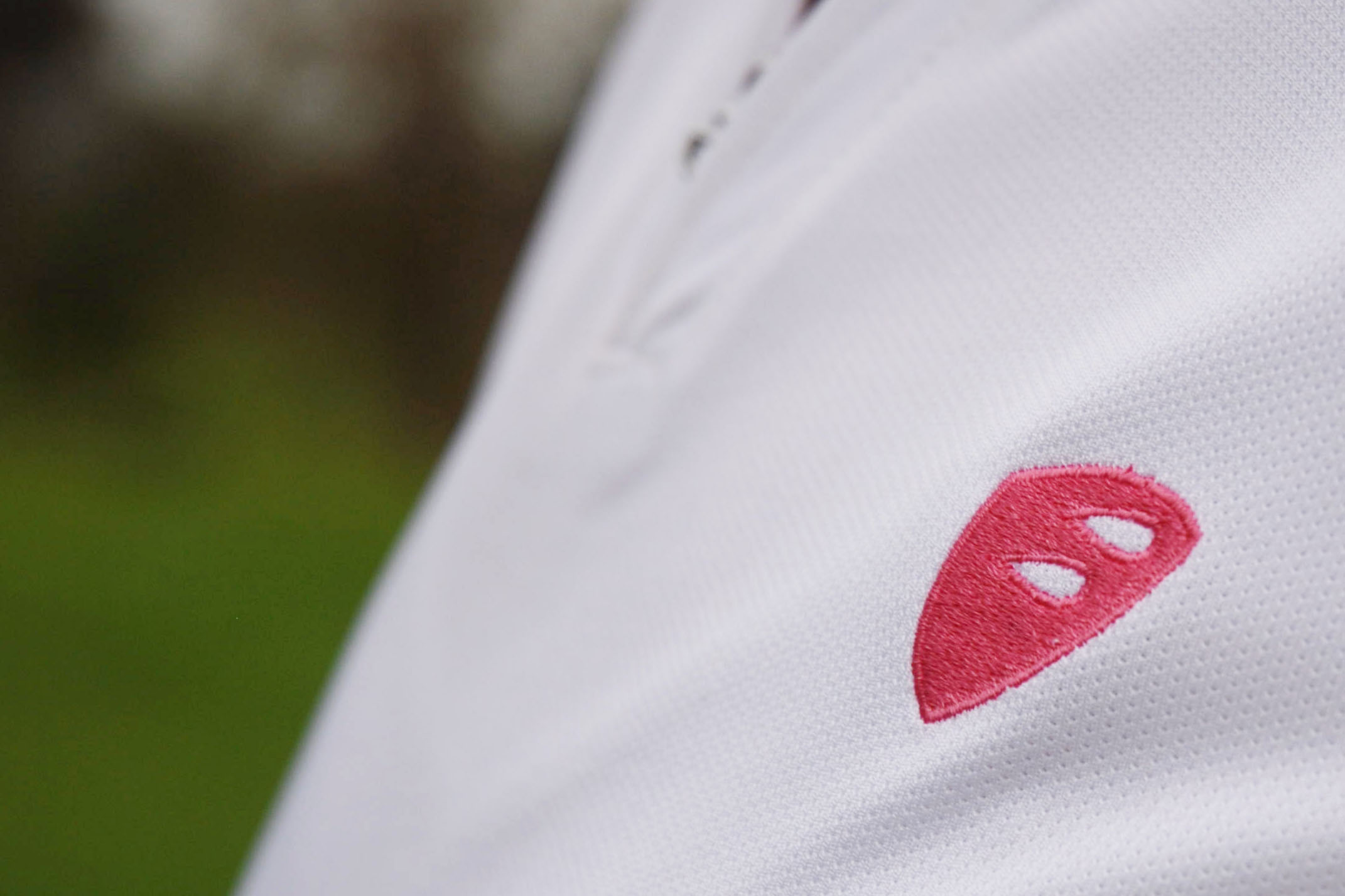 Logo embroidered on T shirt