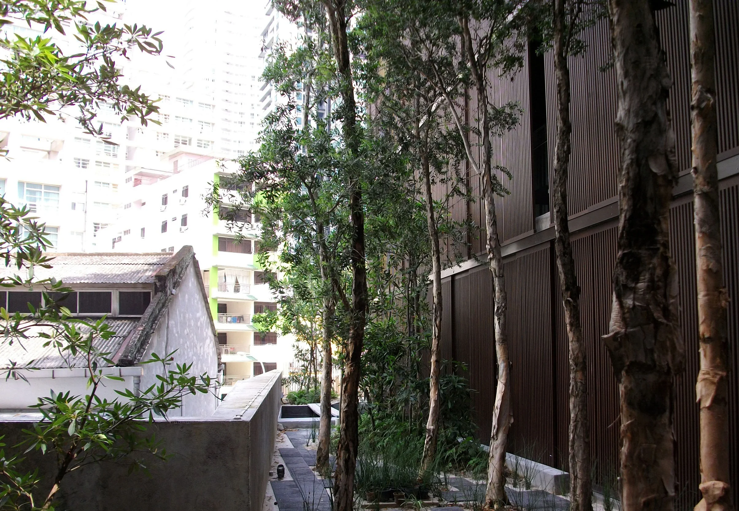07_Landscape path.jpg