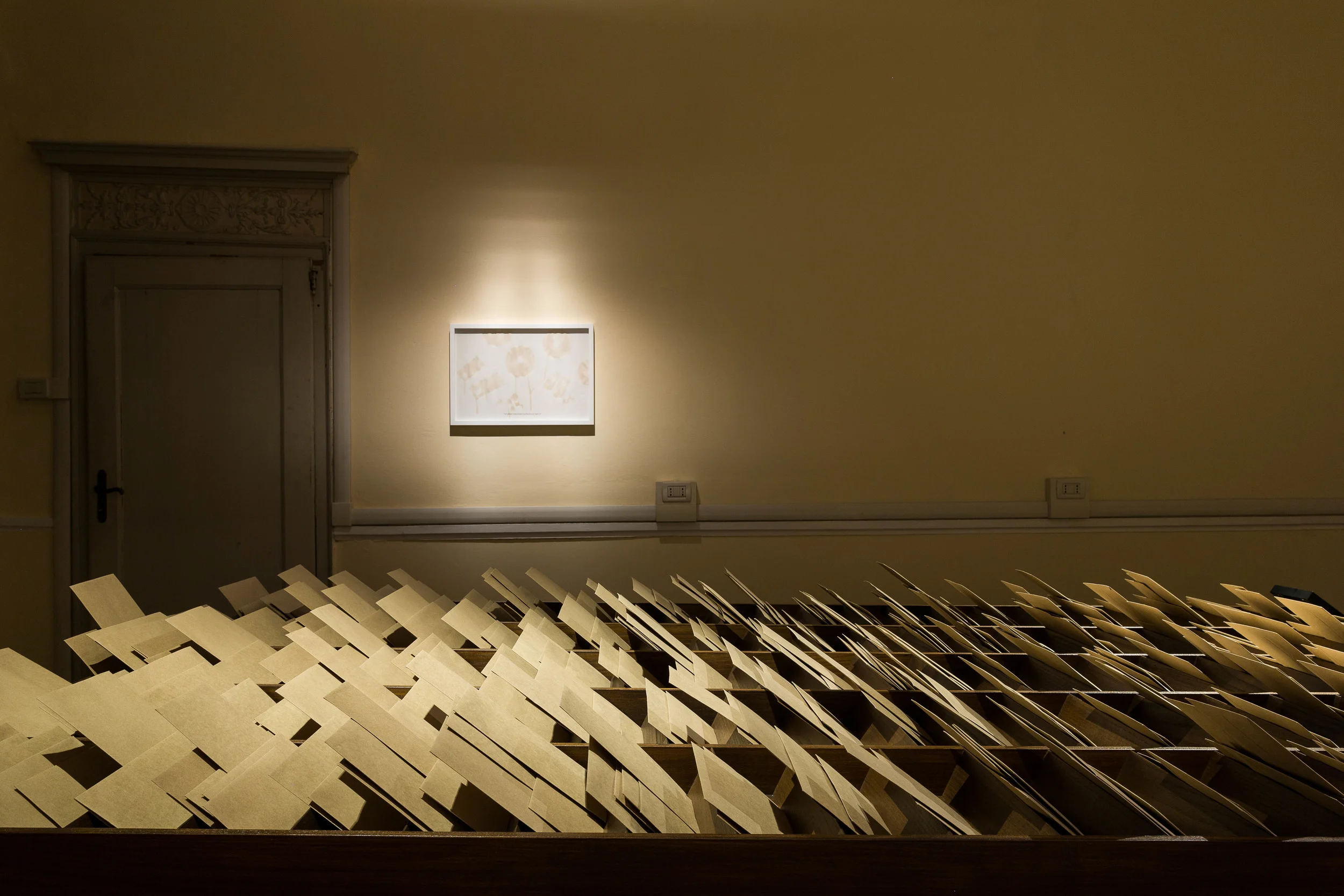 The making of the South Asian brand